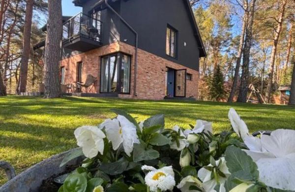 Apartament Poezja Ciszy Brzoza Dębki