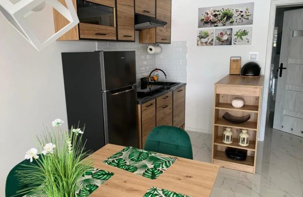 Apartamenty rzut beretem Ryn