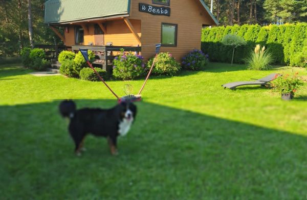 Domek całoroczny U Benka Wisełka