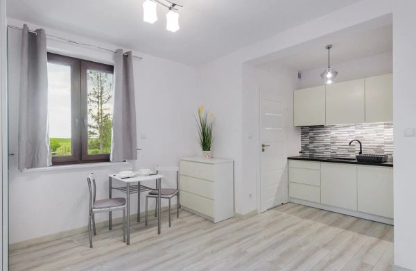 Apartamenty Sun&Snow Zasypane Mazury Orło