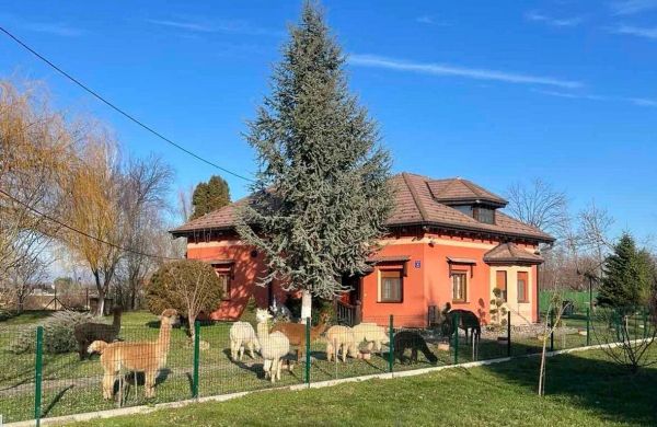 Family Friendly House With A Swimming Pool Andrijaševci, Slavonija - 24939 Andrijaševci