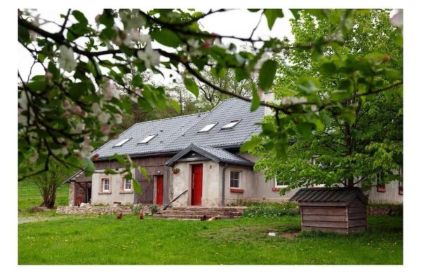 Domek i Pokoje Kozy i Róże Ołdrzychowice Kłodzkie