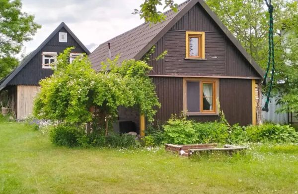 Konik Polny Białowieża
