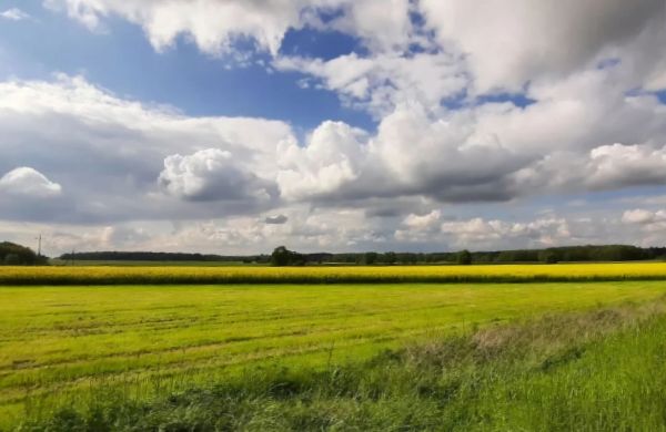 Nasze Podlasie