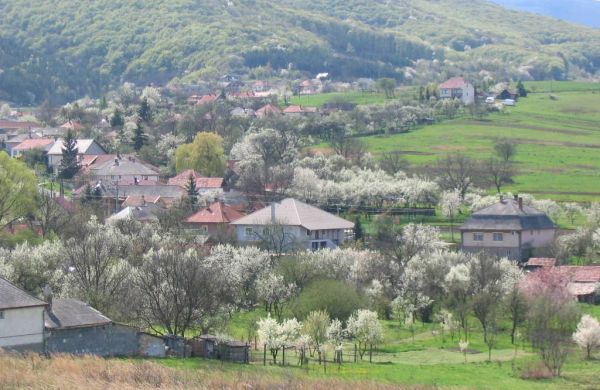 Papréte Vendégház Mályinka