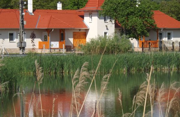Nagybajcsi Körtefa Vendégház-Apartmanok