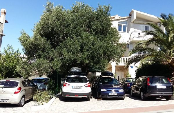 Vila Apartmani Sumic Makarska