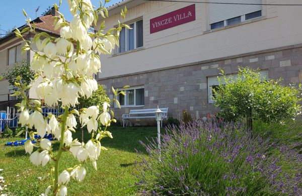 Vincze Villa Vendégház Bükkszék