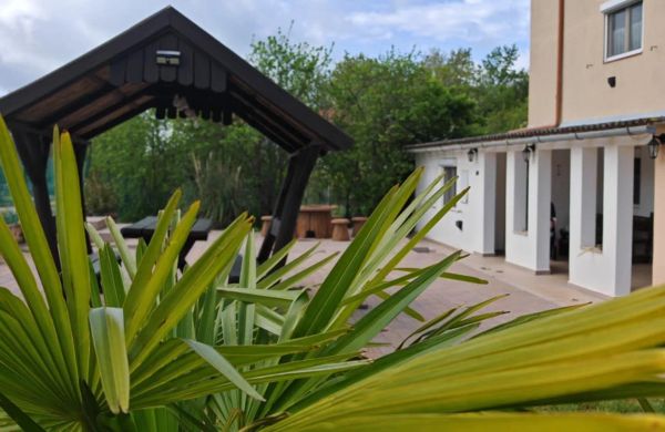 Apartman Merini Loborika