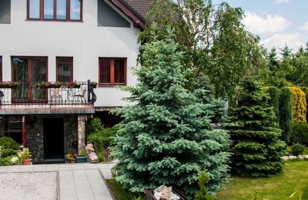 Apartament Przy Słonecznej Mysłakowice
