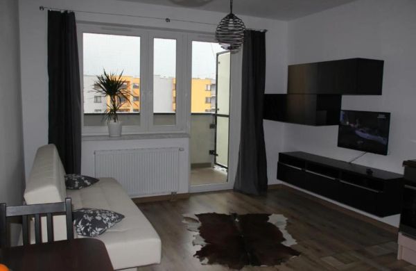 Apartment Wielicka Cracow