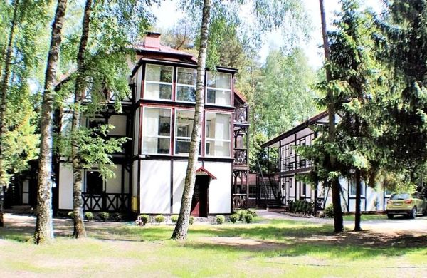 Konik Morski Dębki