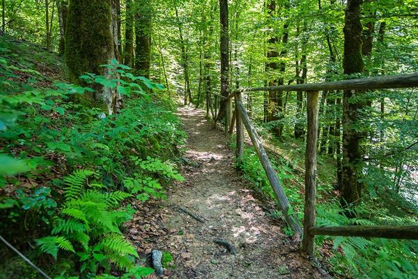 Żródło: materiały partnera Fot. Ivo Biočina Naturalna zieleń, cień, samotność i nieokiełznana natura. W parku Park Narodowym Rišnjak szybciej spotkacie rysia niż innego spacerowicza.