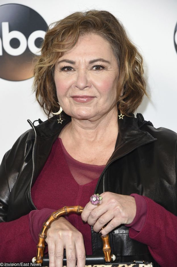 Serial Roseanne Barr Zawieszony Po Jej Rasistowskiej Wypowiedzi Bracia Muzulmanie I Planeta Malp Mieli Dziecko Pudelek