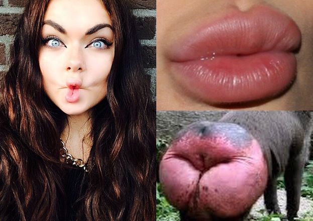 a5ef533c8867acbaef41d3242a504701da248b0d