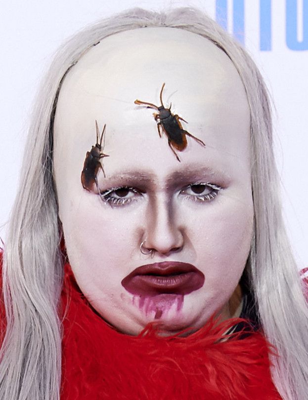 Obrazek
