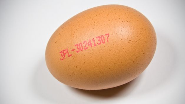 kiedy montaż jeden jajko nie powstaje jak używać masażera próżniowego dla penisa