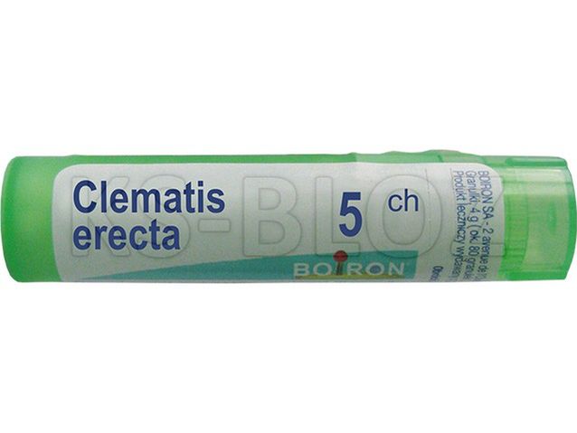 BOIRON Clematis erecta 5 CH