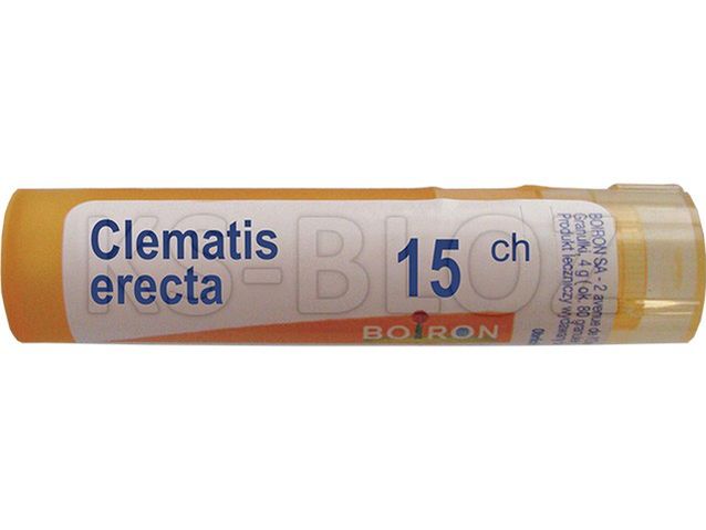 BOIRON Clematis erecta 15 CH