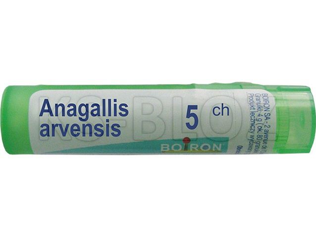 BOIRON Anagallis arvensis 5 CH