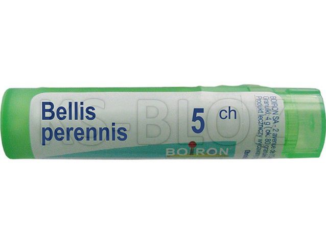BOIRON Bellis perennis 5 CH