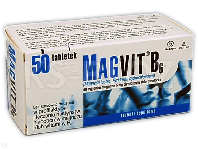 Magvit B6