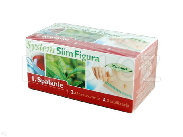Herbata SYSTEM SLIM FIGURA SPALANIE (Faza 1)