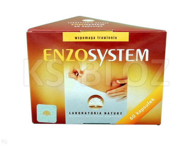 EnzoSystem