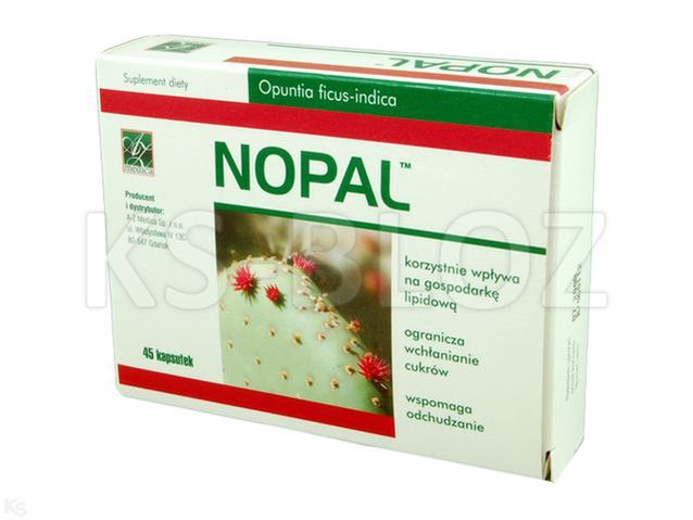 Nopal Vegetarian