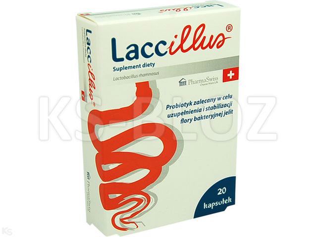 Laccillus