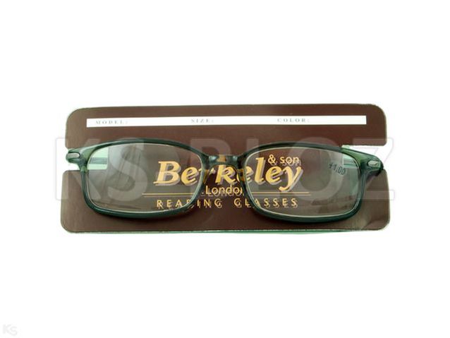 Okulary BERKELEY czarne/2420/ +1,0