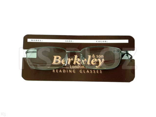 Okulary BERKELEY czarne/2420/ +3,5