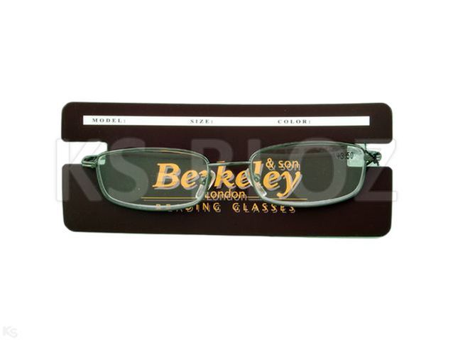 Okulary BERKELEY grey/2420 G/ +3,5