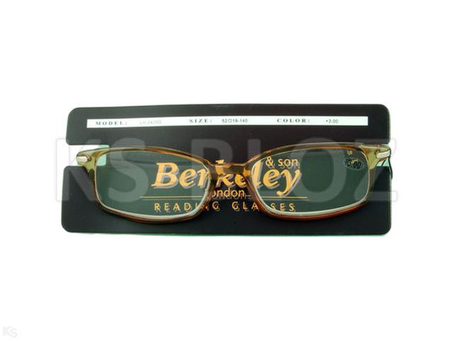 Okulary BERKELEY brown/2420 G/ +3,0