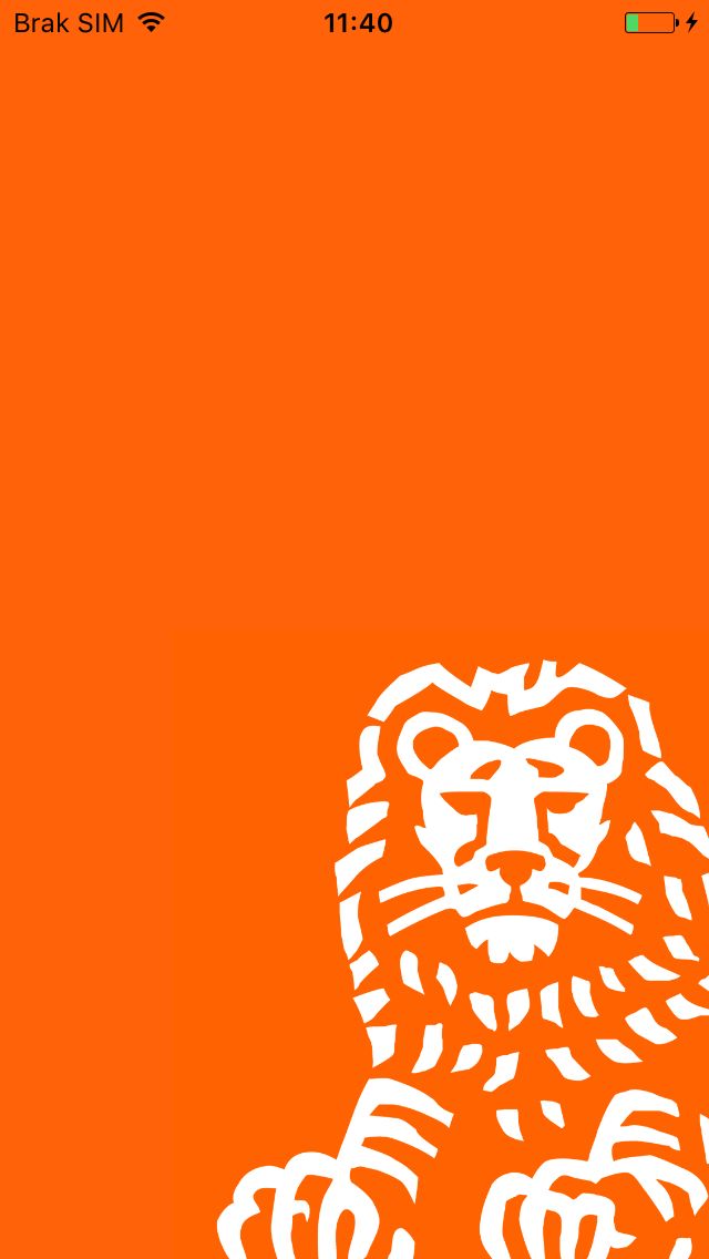 MOJE ING MOBILE visual data 8