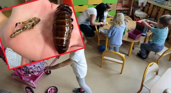 Dzieci zjadły robaki w przedszkolu. "Kontrowersyjne" nagranie wywołało oburzenie