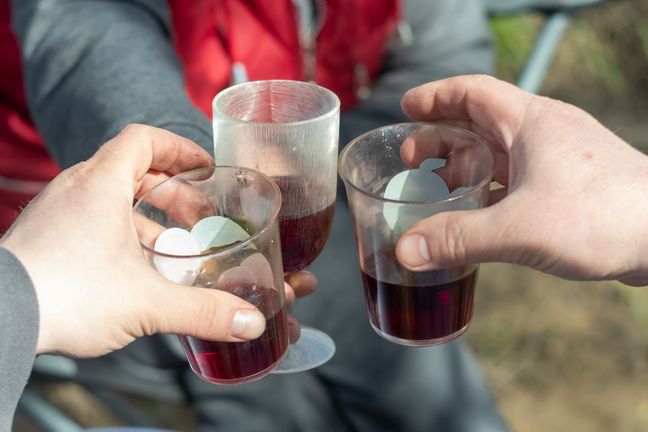 Choroba Alkoholowa – Objawy, Przyczyny I Leczenie | WP AbcZdrowie