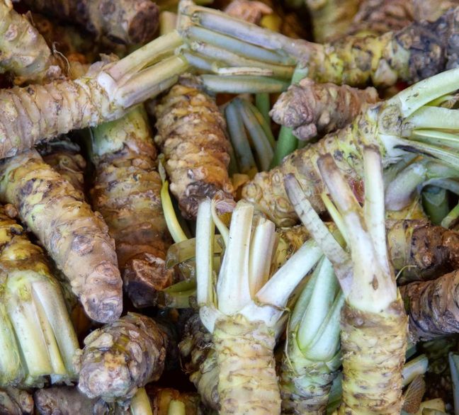 Tajna broń Japończyków na raka. Obniża cholesterol, wspiera wątrobę