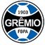 Gremio Porto Alegre