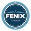 Fenix Toulouse HB