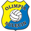 STS Olimpia Sulęcin