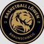 Basketball Lowen Braunschweig