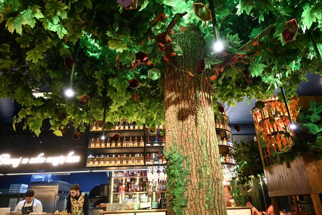 Knieja Czarodzieja - Kowale