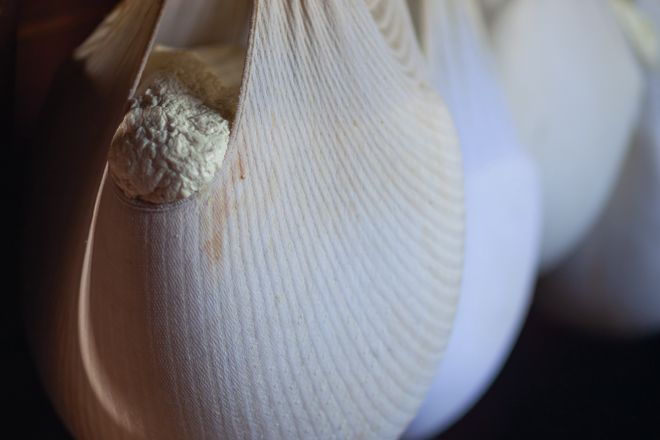 Bacówka na Harendzie w Zakopanem i okolice. Ser zawieszony w białej chuście serowarskiej.  