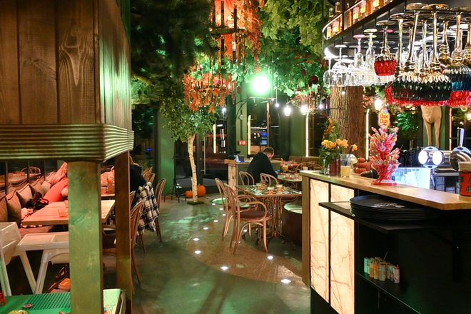 Knieja Czarodzieja  na kaszubach