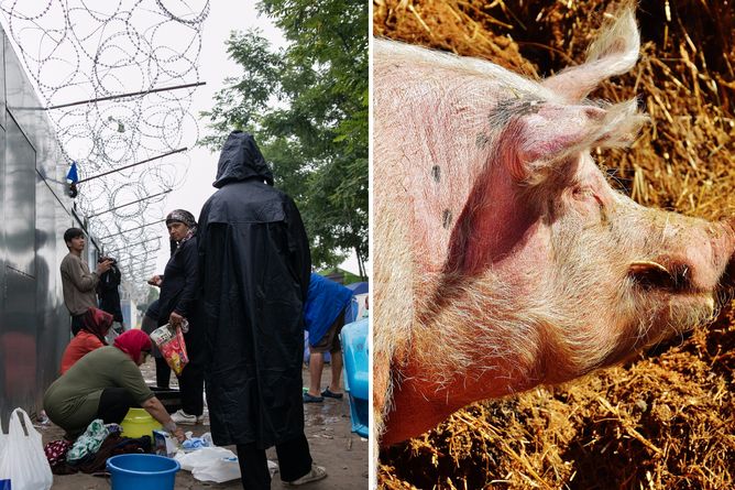 Tak chce odstraszać uchodźców. Posunął się za daleko?