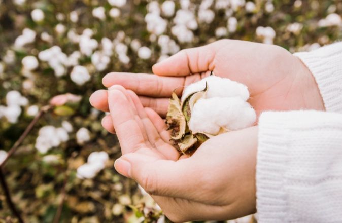 Wkładki zostały pokryte organiczną bawełną. Oznacza to, że są delikatne dla skóry, a jednocześnie wyprodukowane z poszanowaniem środowiska naturalnego.