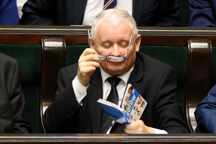 Jarosław Kaczyński czyta książkę o kotach