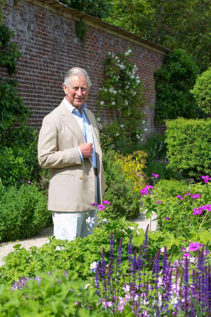 Książę Karol w królewskim ogrodzie, miejscu zabaw jego wnuków