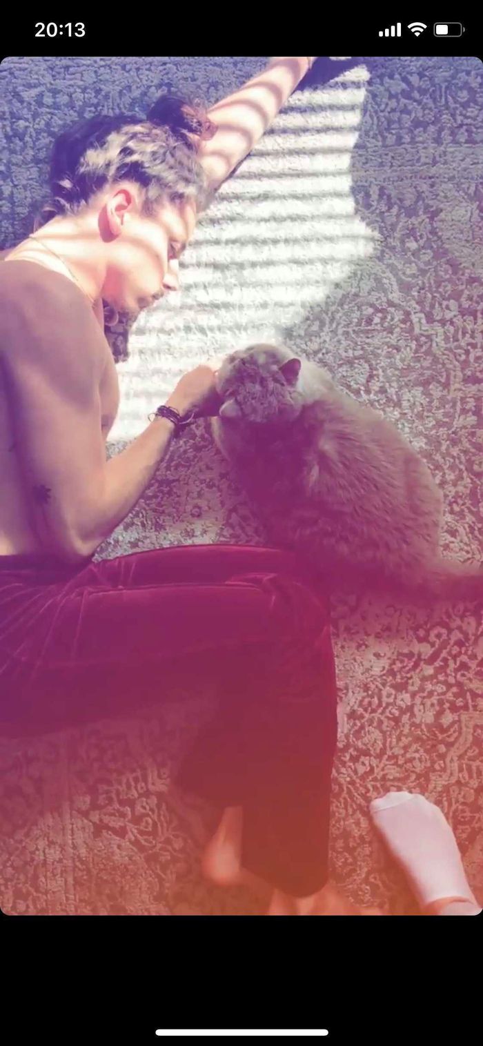 Michał Szpak bez koszulki zabawia się z kotem